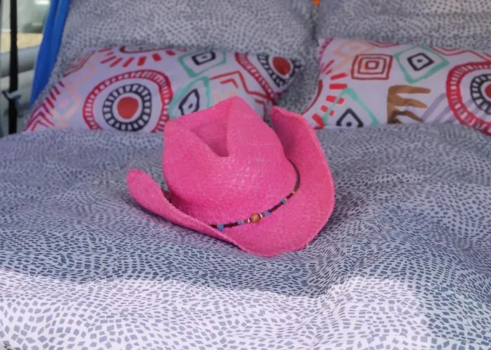 Endlesscampervan 营地 *